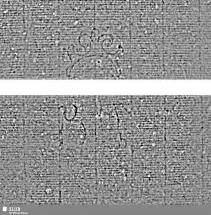 Tre lune / BT (gekrönt) = S.21/24