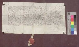 König Maximilian bestätigt die Freiheiten der Grafschaft Hauenstein.