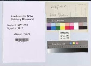 Entnazifizierung Franz Giesen , geb. 20.06.1894 ()