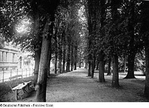 Kamp, Promenadenweg
