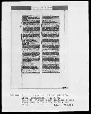 Bibel — Initiale D (ixit insipiens), darin der Narr, Folio 211verso