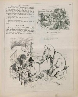 "Berechnend" "Idylle in Kamerun"