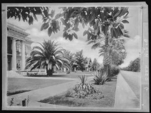 Southern. A Residence Street in Southern California