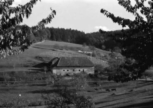 Wittnau: Hof bei Wittnau