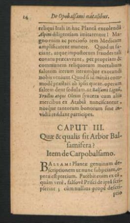 Caput III. Quae & qualis sit Arbor Balsamisera?