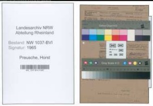 Entnazifizierung Horst Preusche , geb. 23.04.1891 (Prokurist)