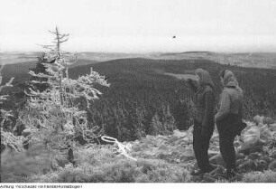 Winter, Landschaften und Skiläufer, 1952/1953