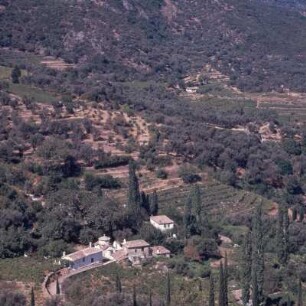 Samos. Nordhang des Karvúni, Pinakas unterhalb von Vurliótes. E70