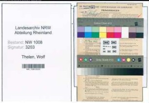 Entnazifizierung Wolf Thelen , geb. 15.04.1899 (Schloser)