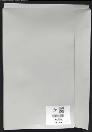 Bepflanzung der Wege und Kanalufer