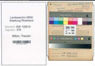 Entnazifizierung Theodor Billion , geb. 02.03.1898 (Schneider)