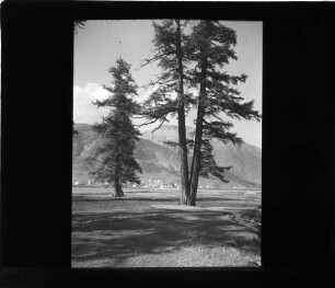 Im Engadin