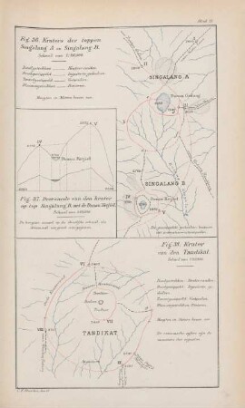 Blad 11.