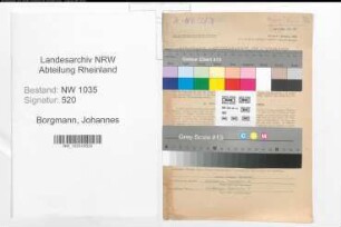 Entnazifizierung Johannes Borgmann , geb. 19.03.1881 ()