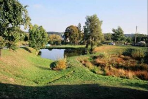 Teich und Grünland, Bäume, Häuser