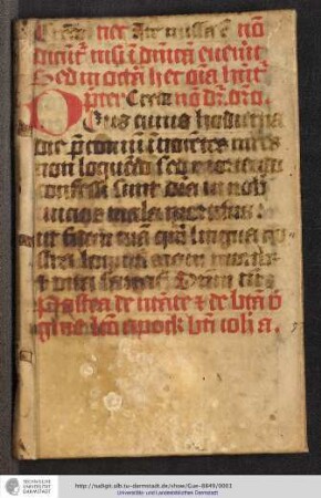 Malleus Judicum : Das ist: Gesetzhammer der unbarmhertzigen Hexenrichter : Auß Dem besten Ertz Göttlicher/ Natürlicher vnd Weltlicher Rechten/ Von Etlichen Christlichen Meistern geschmiedet / Vnd jetzo Durch Einen barmhertzigen Catholischen Christen auffs newe bestielet / [Cornelius Pleier]