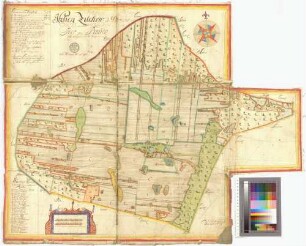 Hohenselchow (Hohenzilchow, Hohenselchow) Amt/Distrikt Oder/Randow