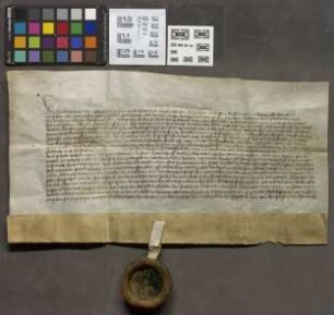 Friedberg: Quittung des Grafen Heinrich v. Schwarzburg wegen bezahlter Reichssteuer