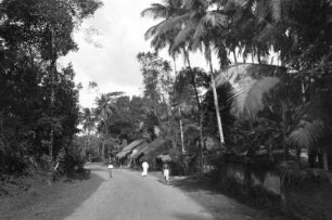 Kandy Road bei Colombo (Deutsche Indien-Expedition 1926/1929 - 1. Sri Lanka)