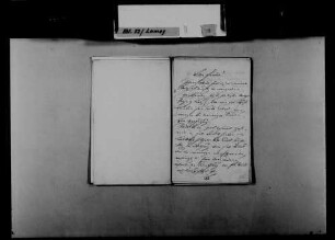 Schreiben von Carl Eckhard, Mannheim, an August Lamey: Kontakt mit N.N. Larriet.