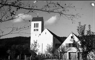 Freiburg i. Br.: Dreifaltigkeitskirche (Durchblick durch Sträucher)