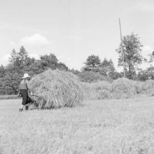 Das Heuschobern. Das Heu wird auf das Holzgestell geschichtet. : Kopjenje ,,Stog". Syno so na drjewjany košćowc worštuje.
