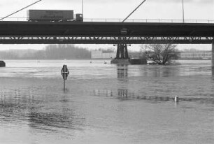 Hochwasser des Rheins