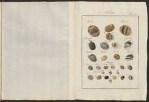 Tab. 124.