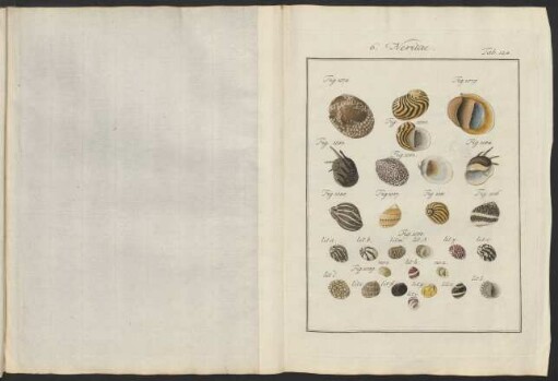 Tab. 124.