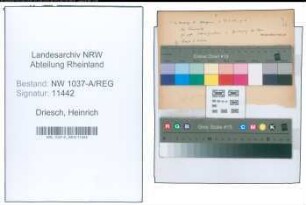 Entnazifizierung Heinrich Driesch , geb. 28.05.1904 ()