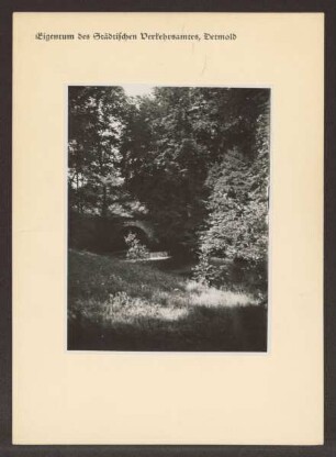 Brücke an der Oberen Mühle. Detmold. Allee. Papierabzug