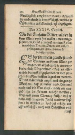 Das XXXIV. Capitel.