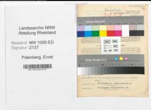 Entnazifizierung Ernst Palenberg, geb. 01.03.1909 (Lehrer)