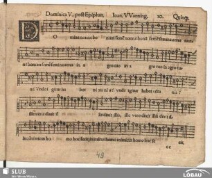 10. Domine nonne bonum semen