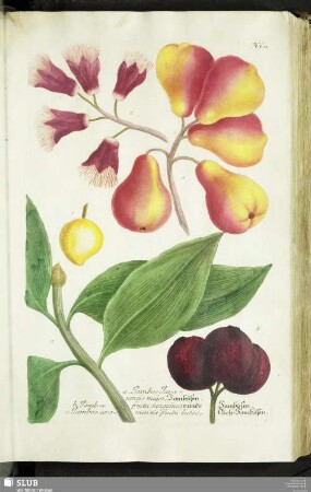 N. 601 - 650