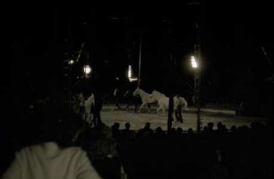 Circus Busch-Berlin, Hannover, 1977