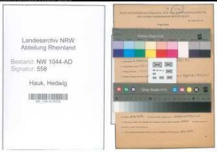 Entnazifizierung Hedwig Hauk , geb. 04.12.1899 (Schreibkraft)