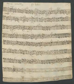 1ste Violine