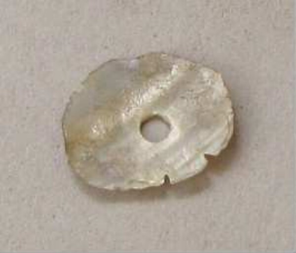 Shell disc