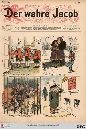 Nr. 223 (1895)