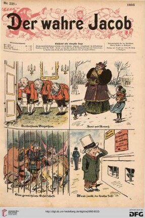 Nr. 223 (1895)