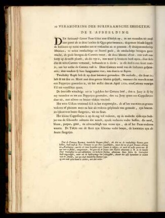 De X. Afbeelding