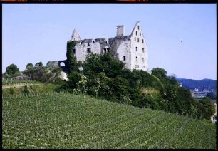 Burkheim: Schwendi-Schlossruine