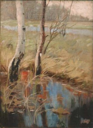 unbenannt [Uferlandschaft am Schwielowsee]