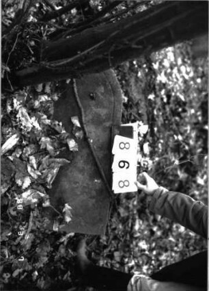 Grabstein 868