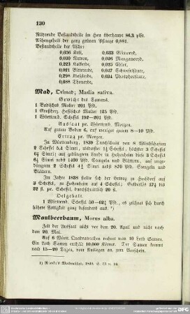 Maulbeerbaum, Morus alba