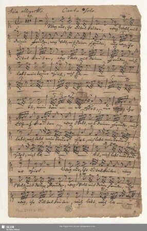 Canto Solo.