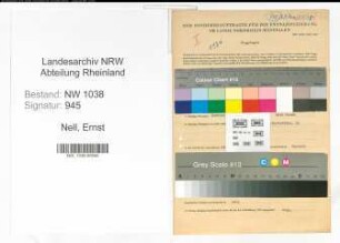 Entnazifizierung Ernst Nell , geb. 07.10.1896 (Krankenpfleger)