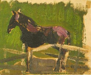 Pferd auf Weide