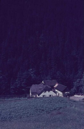 Wohnhaus am Wald